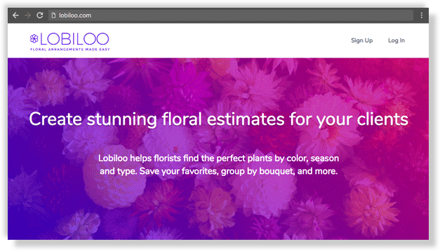 Lobiloo home page design